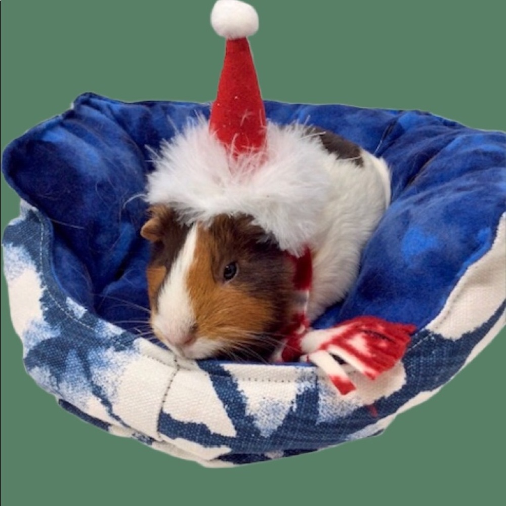 Cute Christmas outfit for small pet on SALE